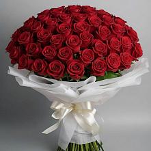 Букет 101 Красная роза Блэк Мэджик в Сергиевском Ставропольского края