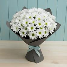 Букет цветов из:  Хризантемы в Сергиевском Ставропольского края