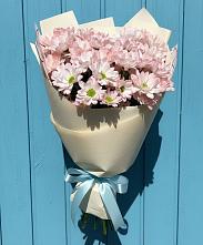 Букет цветов из:  Хризантемы в Сергиевском Ставропольского края