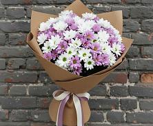 Букет цветов из:  Хризантемы #REPLACE_PRED# Сергиевском Ставропольского края