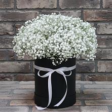 Цветочная композиция из Гипсофила в шляпной коробке в Сергиевском Ставропольского края