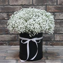 Цветочная композиция из Гипсофила в шляпной коробке в Сергиевском Ставропольского края