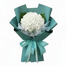 Букет цветов из:  Гортензия #REPLACE_PRED# Сергиевском Ставропольского края